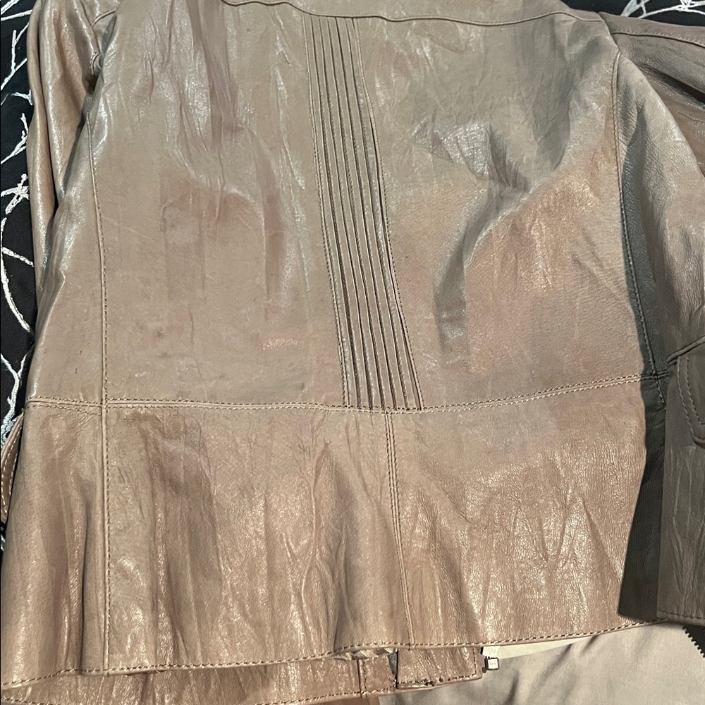 Leather Jacket - Picture 7 of 7
